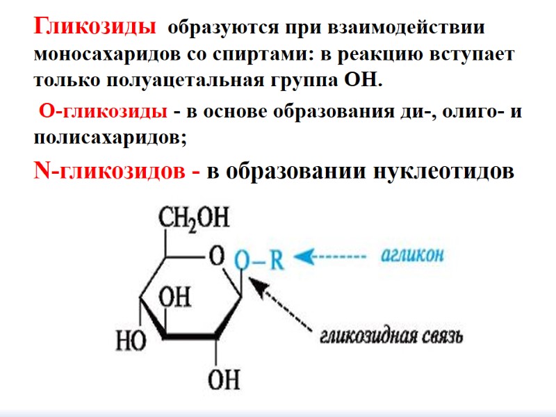 Гликозиды  образуются при взаимодействии моносахаридов со спиртами: в реакцию вступает только полуацетальная группа